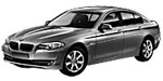 BMW F10 U1020 Fault Code